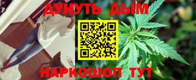 Альфа ПВП Кингисепп
